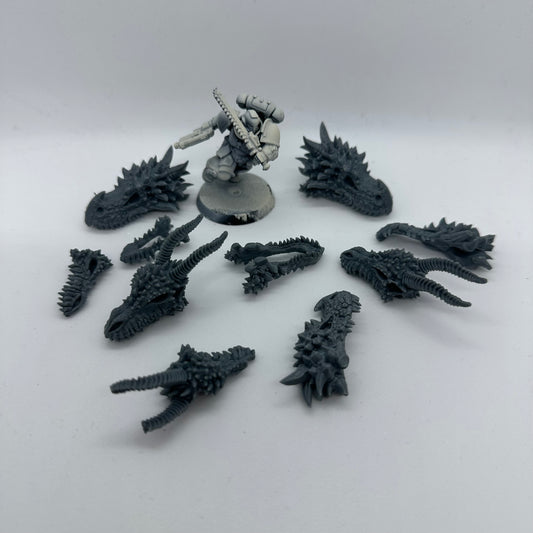 Crânes de dragons (Pack de 10)